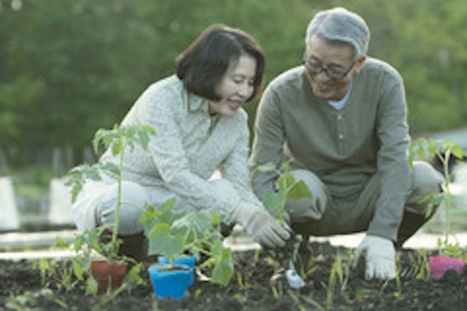 食べて動いて健康になる！畑作りの楽しみ方