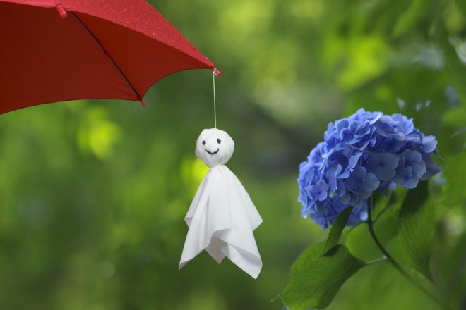 梅雨の湿気は嫌ですね。